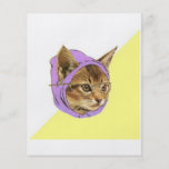 Hipster Kitty Cat Advice Animal Meme Full Color Flyer