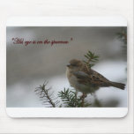 "His eye is on the sparrow"