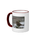 "His eye is on the sparrow" mugs
