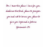 His Word is Truth - Jeremiah 29:11 t-shirts