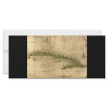 Historic 1639 Map of Cuba by Joan Vinckeboons rack cards