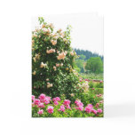 Historical Rose Garden cards