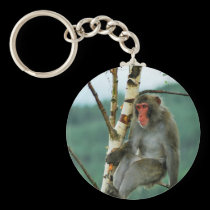 Hmmmm, I wonder keychains