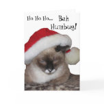 Ho Ho Ho... Bah~Humbug!