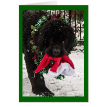 Ho Ho Ho Cards