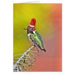 Ho Ho Ho Humm Greeting Cards