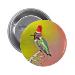 Ho Ho Ho Humm Pinback Button