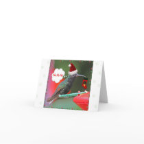 Ho Ho Ho Hummingbird Greeting Cards