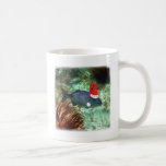 Ho Ho Ho Tropical Fish Mugs
