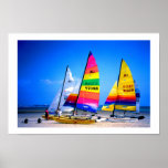 HOBIE CATS IN JERSEY posters