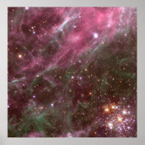 Hodge 301, Tarantula Nebula