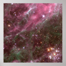 Hodge 301, Tarantula Nebula Posters