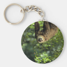 Hoffmann's two-toed sloth keychains