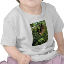 Hoffmann's two-toed sloth t shirt