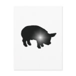 Hog Glow Postcard