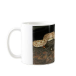 Hog Nose Snake mugs