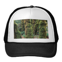 Hoh Rain Forest, Olympic National Park, Washington Trucker Hat