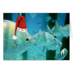 HoHoHo Tropical Fish Greeting Card