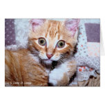 Hokee Greeting Cards