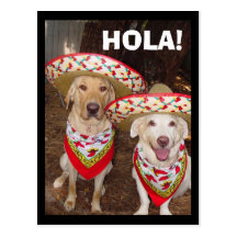 HOLA! POST CARDS