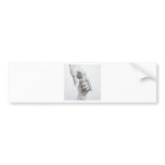 Holding hands bumper stickers