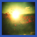 Holga poppy sunrise print posters