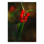 Holiday Berries Card