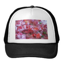 Holiday Candy Trucker Hats