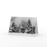 Holiday Card