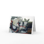 Holiday Card 2010