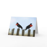 Holiday Crow Blessings Greeting Card