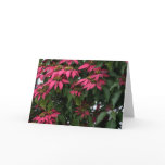 Holiday Foliage Greeting Card