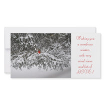Holiday Greetings Personalized Photo Card
