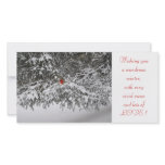 Holiday Greetings photo cards