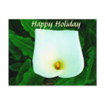 Holiday Greetings_ Postcard