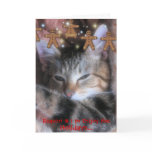 Holiday Humour Series cards