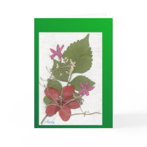 Holiday Ixora Cards