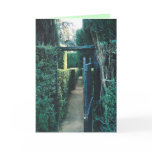holiday & new year adventure cards