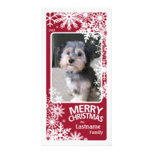 Holiday Photo Card: Let It Snow!