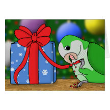Holiday Quaker Parakeet Christmas Card