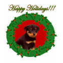 Holiday Rottweiler t-shirt