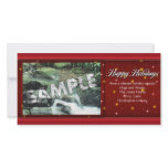 holiday stars.red custom photo card