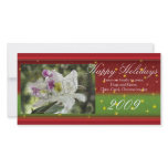 holiday stars.rg photo card template