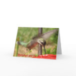 Holidays are for the birds.... card