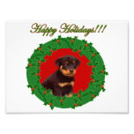 Holidays Rottweiler puppy Photo Art