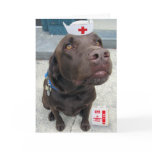 Holistic Rx cards