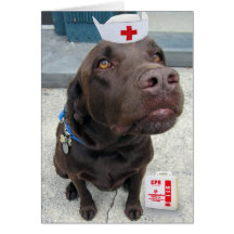 Holistic Rx Greeting Cards