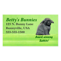 Holland Lop Biz Cards Business Cards