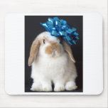 Holland Lop Mousepad