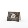 Holland Lop Notecard